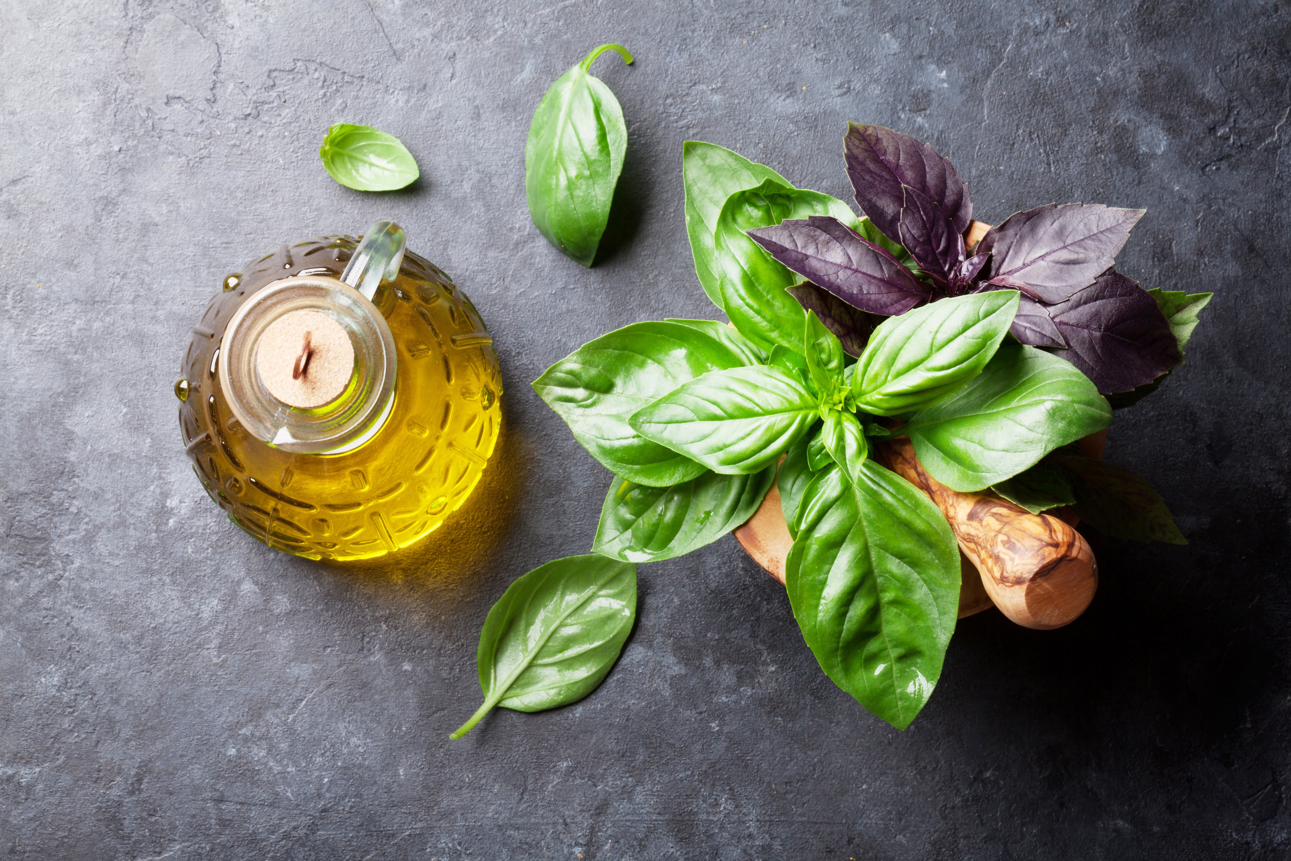 Basil and Extra Virgin Olive Oil A Healthy Combination